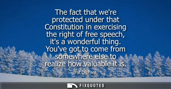 Small: The fact that were protected under that Constitution in exercising the right of free speech, its a wond