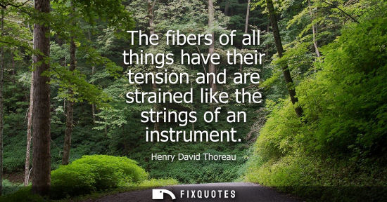 Small: The fibers of all things have their tension and are strained like the strings of an instrument