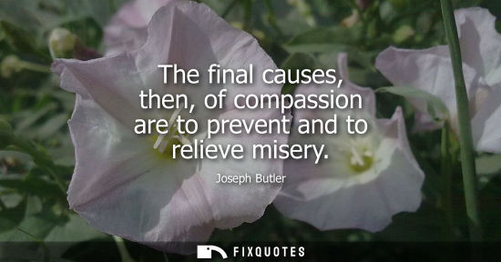 Small: Joseph Butler: The final causes, then, of compassion are to prevent and to relieve misery