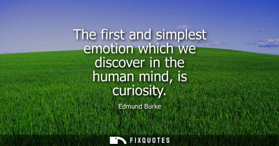 Small: The first and simplest emotion which we discover in the human mind, is curiosity