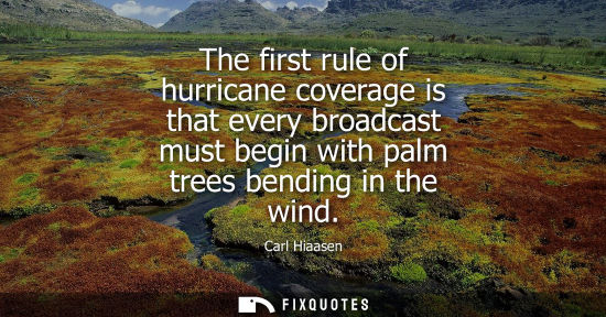 Small: The first rule of hurricane coverage is that every broadcast must begin with palm trees bending in the 
