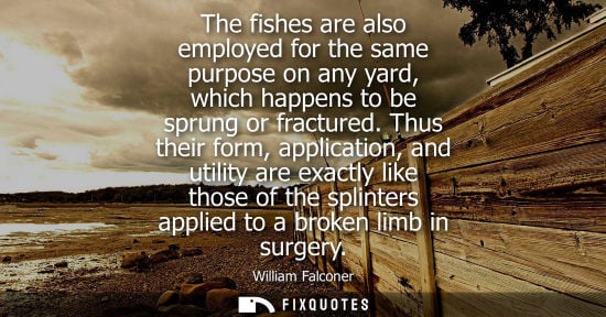 Small: The fishes are also employed for the same purpose on any yard, which happens to be sprung or fractured.