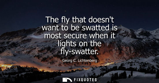 Small: The fly that doesnt want to be swatted is most secure when it lights on the fly-swatter