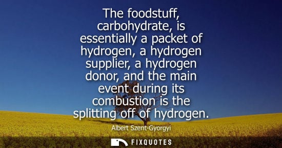 Small: The foodstuff, carbohydrate, is essentially a packet of hydrogen, a hydrogen supplier, a hydrogen donor, and t