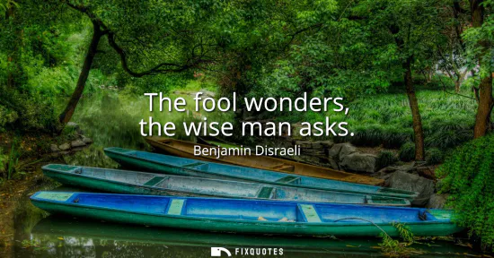 Small: The fool wonders, the wise man asks