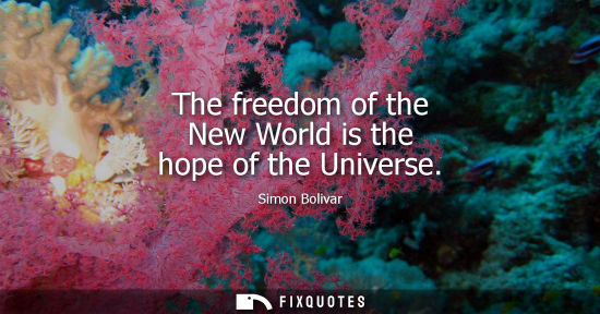Small: The freedom of the New World is the hope of the Universe