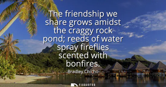 Small: The friendship we share grows amidst the craggy rock pond reeds of water spray fireflies scented with bonfires