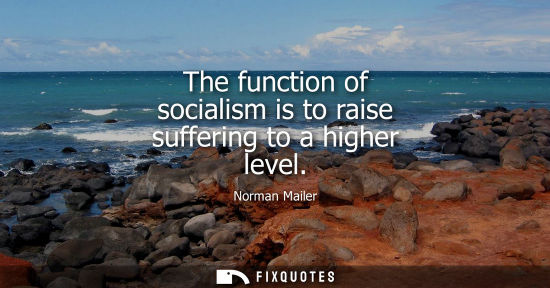 Small: The function of socialism is to raise suffering to a higher level