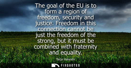 Small: The goal of the EU is to form a region of freedom, security and justice. Freedom in this connection can