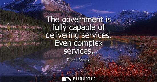 Small: The government is fully capable of delivering services. Even complex services