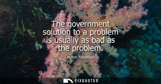 Small: The government solution to a problem is usually as bad as the problem