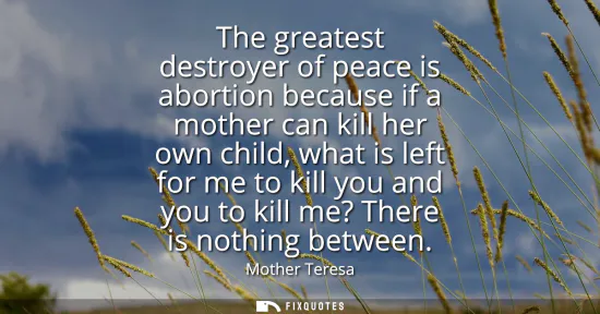 Small: The greatest destroyer of peace is abortion because if a mother can kill her own child, what is left for me to