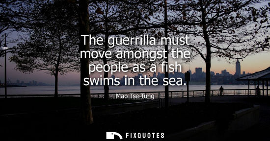 Small: The guerrilla must move amongst the people as a fish swims in the sea