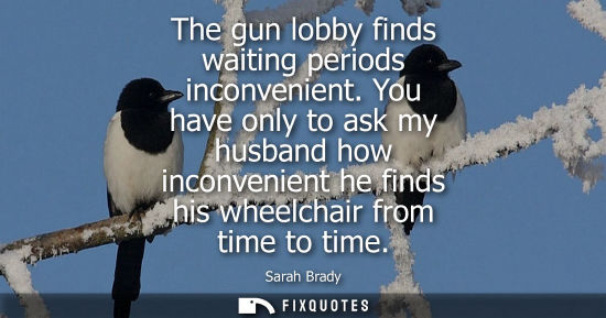 Small: The gun lobby finds waiting periods inconvenient. You have only to ask my husband how inconvenient he finds hi