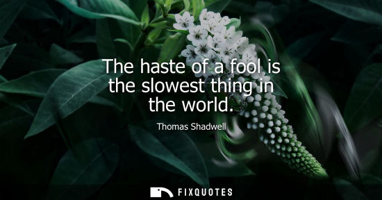 Small: The haste of a fool is the slowest thing in the world
