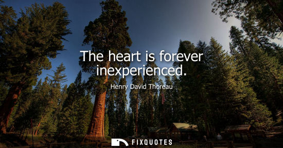Small: The heart is forever inexperienced