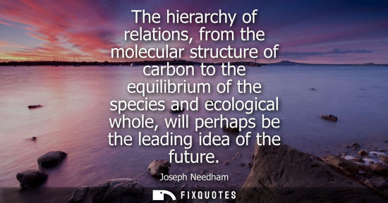 Small: The hierarchy of relations, from the molecular structure of carbon to the equilibrium of the species an