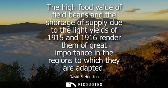 Small: The high food value of field beans and the shortage of supply due to the light yields of 1915 and 1916 