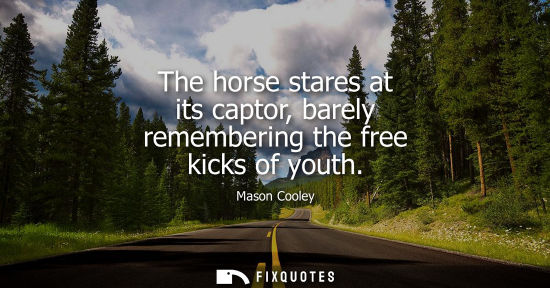 Small: The horse stares at its captor, barely remembering the free kicks of youth