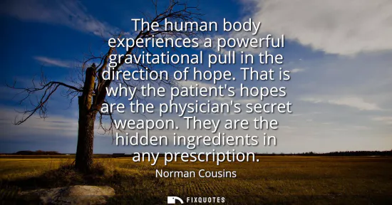 Small: The human body experiences a powerful gravitational pull in the direction of hope. That is why the patients ho