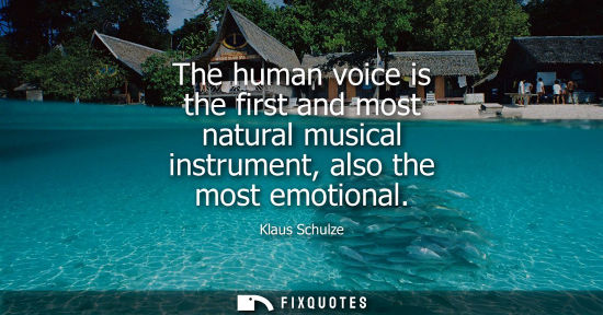 Small: The human voice is the first and most natural musical instrument, also the most emotional