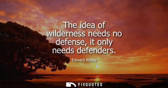 Small: The idea of wilderness needs no defense, it only needs defenders