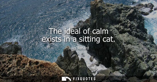 Small: The ideal of calm exists in a sitting cat