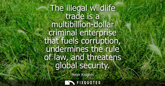 Small: Peter Knights - The illegal wildlife trade is a multibillion-dollar criminal enterprise that fuels corruption,