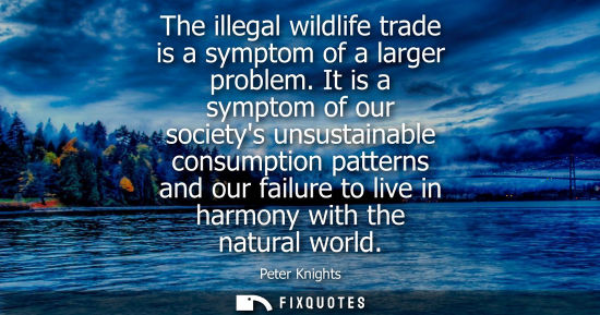Small: Peter Knights: The illegal wildlife trade is a symptom of a larger problem. It is a symptom of our societys un