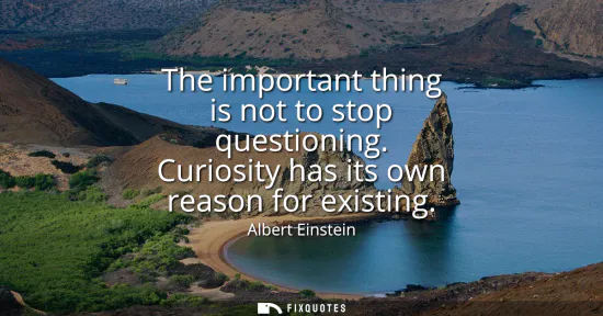 Small: The important thing is not to stop questioning. Curiosity has its own reason for existing