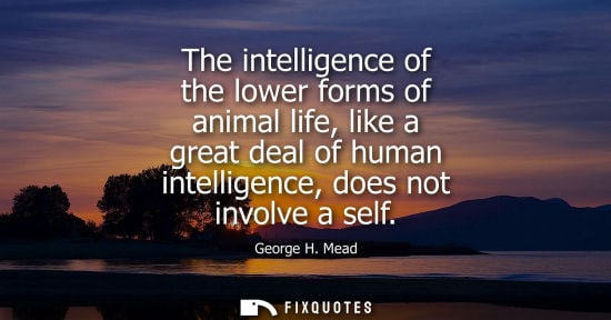 Small: The intelligence of the lower forms of animal life, like a great deal of human intelligence, does not i