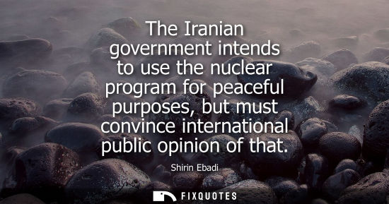 Small: The Iranian government intends to use the nuclear program for peaceful purposes, but must convince inte