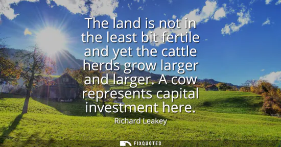 Small: The land is not in the least bit fertile and yet the cattle herds grow larger and larger. A cow represents cap