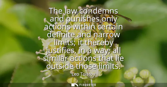 Small: The law condemns and punishes only actions within certain definite and narrow limits it thereby justifies, in 