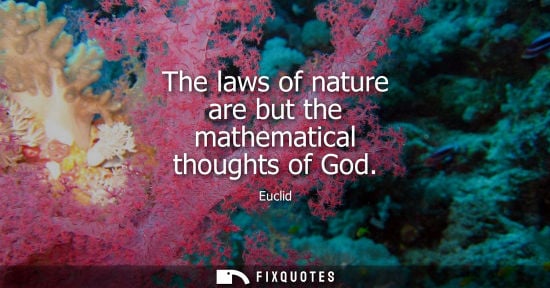 Small: Euclid: The laws of nature are but the mathematical thoughts of God