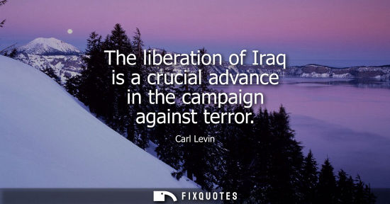 Small: The liberation of Iraq is a crucial advance in the campaign against terror