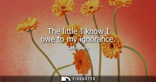 Small: The little I know I owe to my ignorance