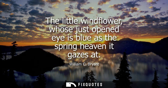 Small: The little windflower, whose just opened eye is blue as the spring heaven it gazes at