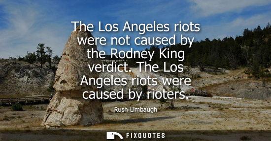 Small: The Los Angeles riots were not caused by the Rodney King verdict. The Los Angeles riots were caused by rioters