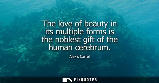 Small: The love of beauty in its multiple forms is the noblest gift of the human cerebrum