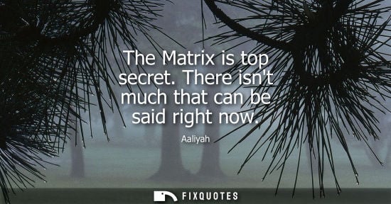 Small: The Matrix is top secret. There isnt much that can be said right now