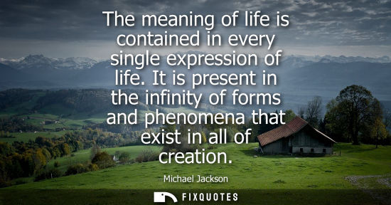 Small: The meaning of life is contained in every single expression of life. It is present in the infinity of f