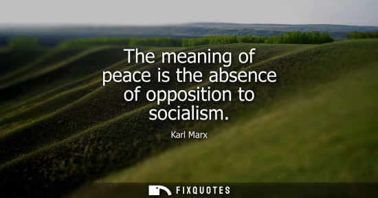 Small: The meaning of peace is the absence of opposition to socialism