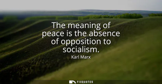 Small: The meaning of peace is the absence of opposition to socialism