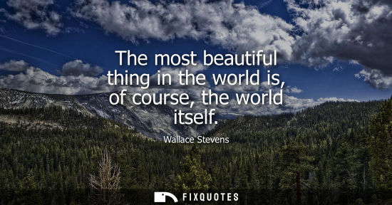 Small: The most beautiful thing in the world is, of course, the world itself