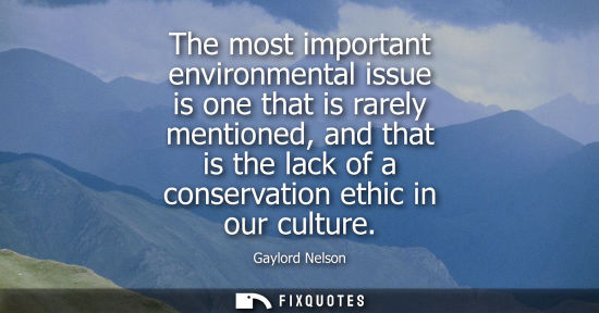 Small: The most important environmental issue is one that is rarely mentioned, and that is the lack of a conse