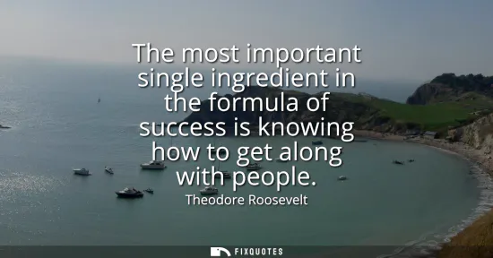 Small: The most important single ingredient in the formula of success is knowing how to get along with people