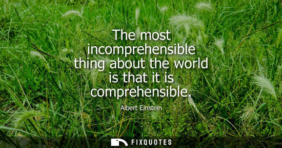 Small: The most incomprehensible thing about the world is that it is comprehensible - Albert Einstein