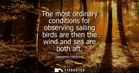 Small: The most ordinary conditions for observing sailing birds are then the wind and sea are both aft