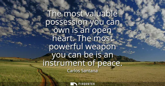 Small: The most valuable possession you can own is an open heart. The most powerful weapon you can be is an instrumen
